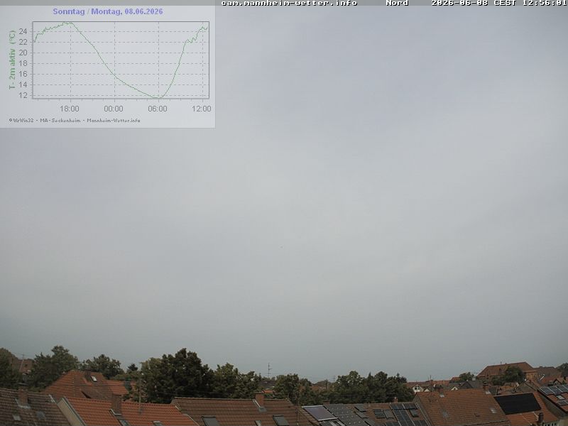 skycam Mannheim